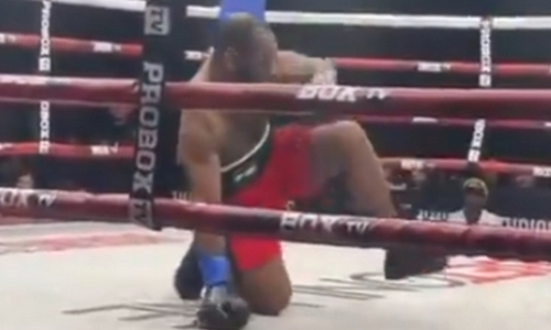 Призер чемпионата мира по боксу брутально нокаутировал непобежденного соперника в профи-дебюте. Видео