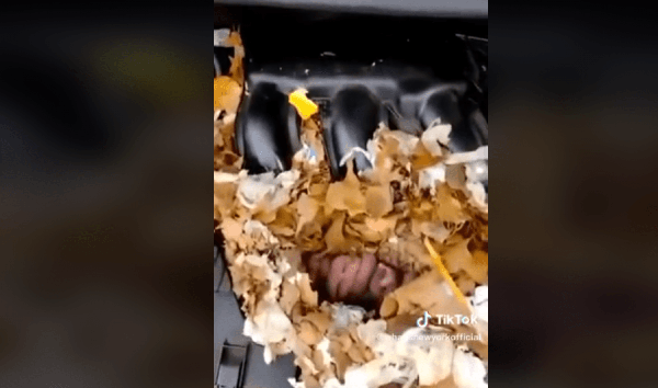 Заглянул под капот и обомлел — механик нашел неожиданную причину поломки авто. Фото