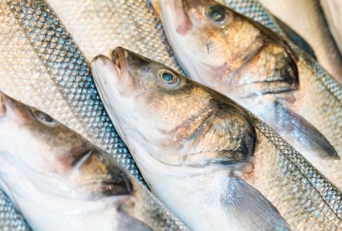 Названа рыба, которую категорически не стоит есть. Её продают повсюду