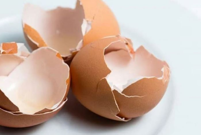 Почему не стоит выбрасывать яичную скорлупу