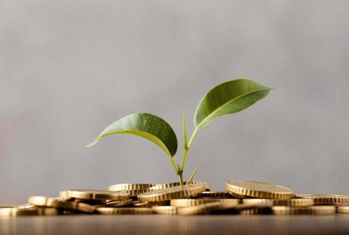 Этим четырем знакам зодиака суждено разбогатеть весной 2025-го