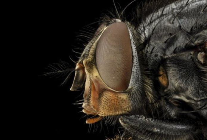 Старый тюль не выбрасываем — режем на полоски. Делаем из него эффективное средство от мух