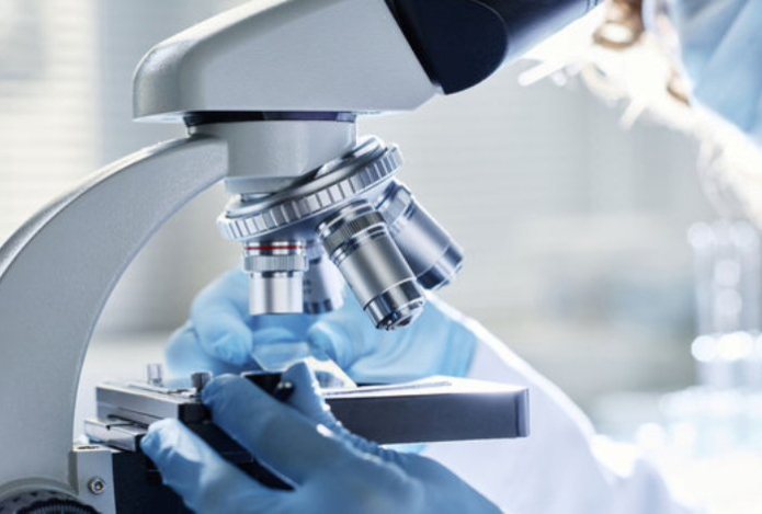 Как гены влияют на размер глаз