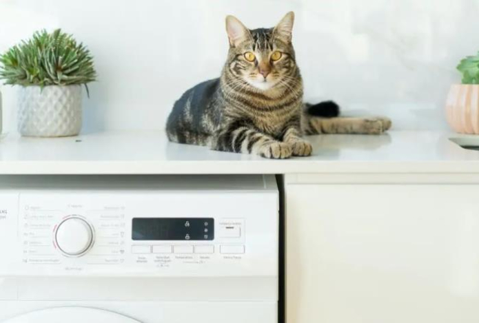 Нужно ли после каждой стирки отключать стиралку из розетки