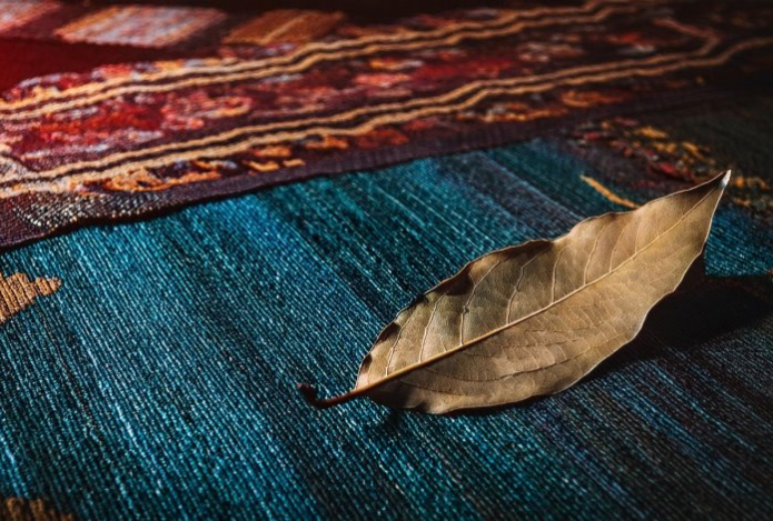 Почему нужно класть лавровый лист под ковер перед сном — будут удивительные перемены в доме