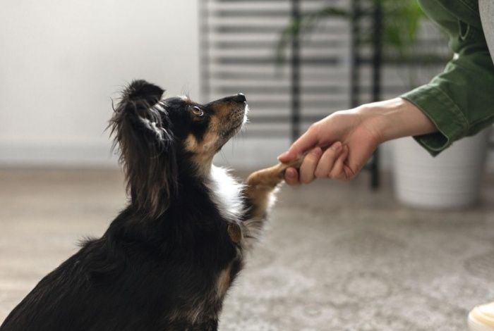 Кто добрее — богатые или бедные. Ответ вас удивит