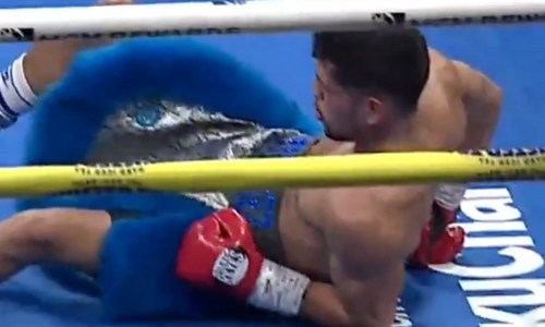 Сын легенды бокса победил ярким нокаутом. Видео