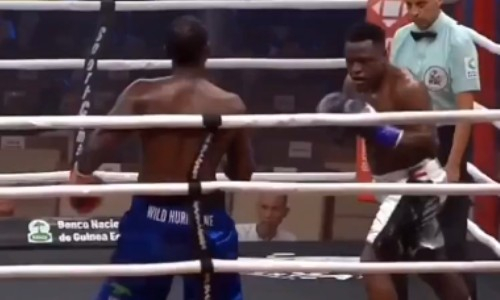 Хабиба нокаутировали в третьем раунде. Видео