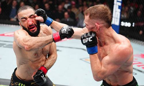 Стали известны гонорары Мухаммада и Маддалены за чемпионский бой UFC в весе Рахмонова