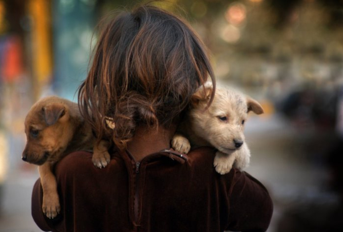 Названы знаки зодиака, которые всегда помогут — кого считают самыми добрыми