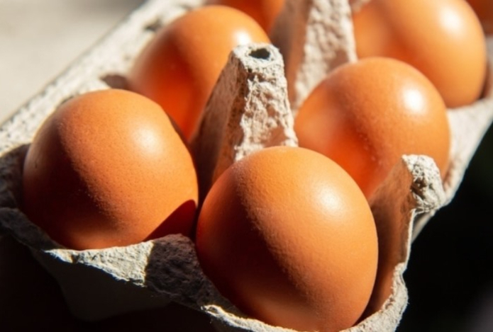 Можно ли хранить яйца в заводской упаковке