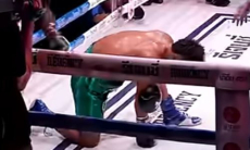 Бой за титул WBC в весе Алимханулы завершился нокаутом во втором раунде. Видео