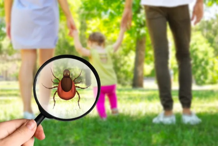 Как защитить себя на природе. Пять эффективных и безопасных народных средств от клеща