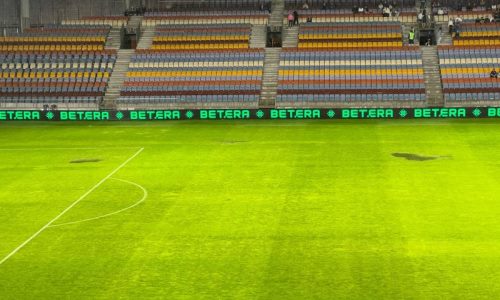 Появилось фото газона на стадионе в Борисове накануне матча Беларусь — Казахстан