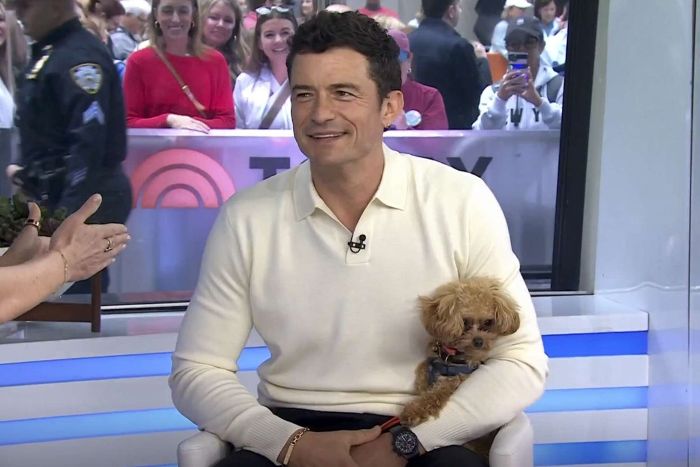 Сама милота. Голливудская звезда прервал речь на ТВ ради своей собаки