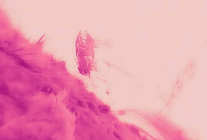 Солнце впервые рассмотрели с рекордным разрешением