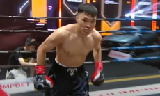 Боксёрская организация отреагировала на нокаут в бою непобеждённого казахстанца за титул чемпиона мира