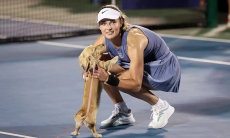 Собака российской теннисистки выбежала на корт после её победы. Видео