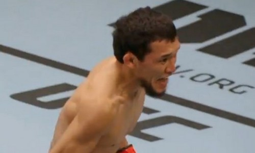 Алиби Идрис