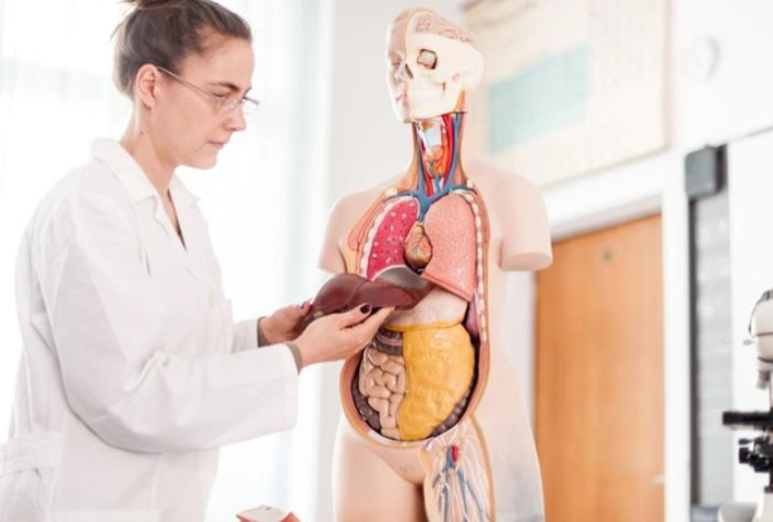 Как омолодить печень, очистив ее от избытка сахара