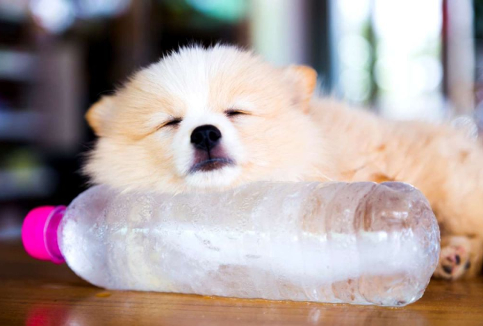 Стало известно, как возраст влияет на переносимость жары