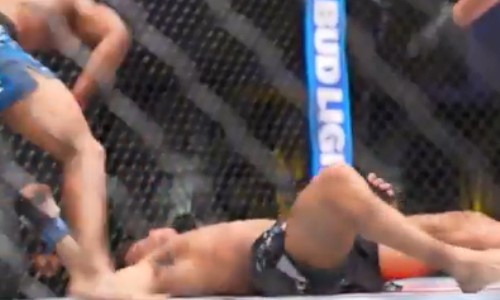 Зверский нокаут редким приемом зафиксирован в UFC. Видео