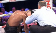 Яркими нокаутами обернулись бои непобеждённых боксёров. Видео