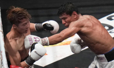 Абсолютному чемпиону вынесли вердикт после разгрома звезды бокса из Узбекистана 