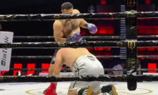 Стремительным нокаутом завершился бой казахстанского тяжеловеса. Видео