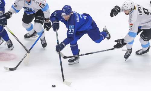 Максим Мухаметов