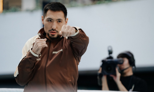 Жанибеку Алимханулы нашли лучшего соперника на бой за три титула