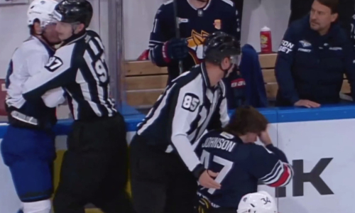 Алихан Асетов побил второго соперника на старте сезона КХЛ. Видео