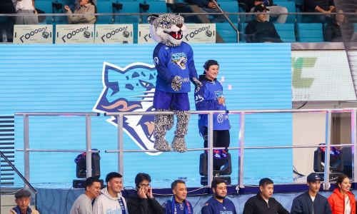 Раскрыты планы по поиску казахстанских игроков для «Барыса»