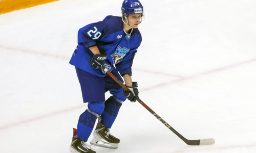 «Все будет хорошо у нас». В «Барысе» озвучили будущее в КХЛ и оценили нового голкипера