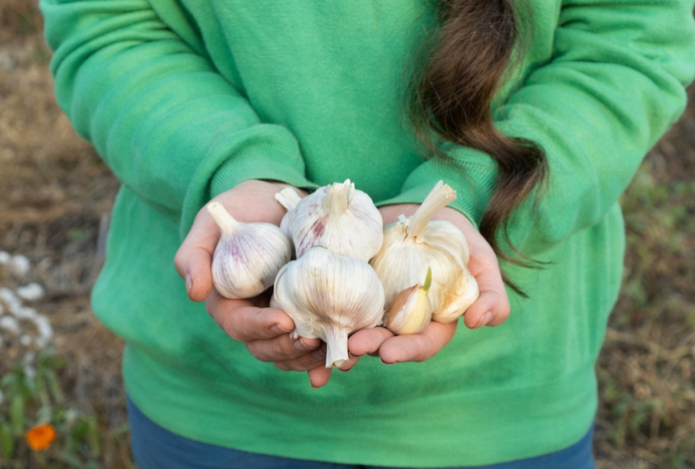 Врач рассказала, какие приправы и специи помогают бороться с инфекциями