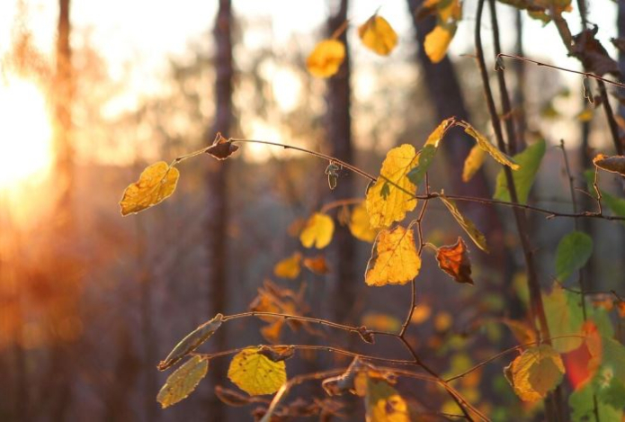 Осеннее равноденствие 22 сентября — традиции, советы и приметы дня