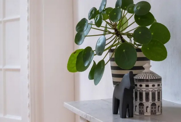 Как обустроить маленькую прихожую — идеи для стильного и функционального пространства