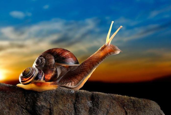 Астрологи назвали три знака зодиака, которых нельзя торопить