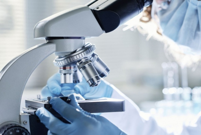 Учёные нашли белок, который защищает сердце от износа