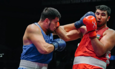 В Европе объяснили лидерство Казахстана и Узбекистана в мировом боксе