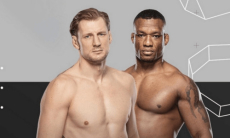 В России назвали фаворита боя Волков — Алмейда