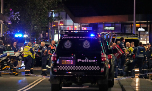 В Сиднее жестоко убит бывший боец UFC