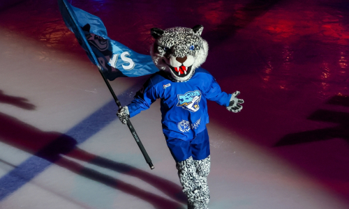 «Барыс» объявил состав на матч против «Ак Барса» в КХЛ