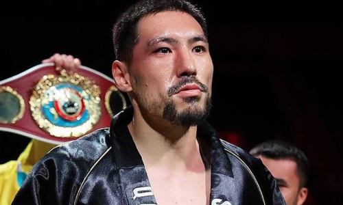 Не Жанибек Алимханулы. Эксперт назвал лучшего боксёра среднего веса