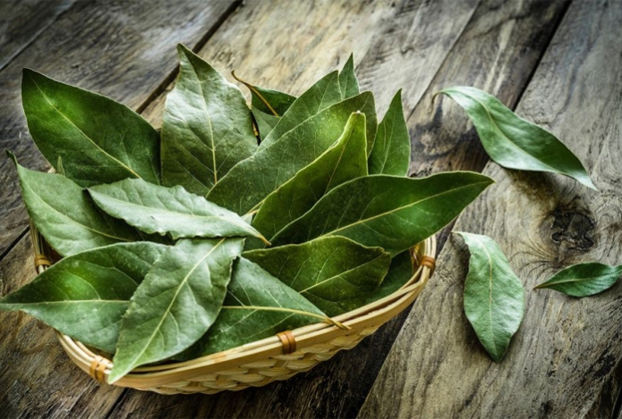 Разбрасываем лавровый лист по комнатам — старый, но работающий метод