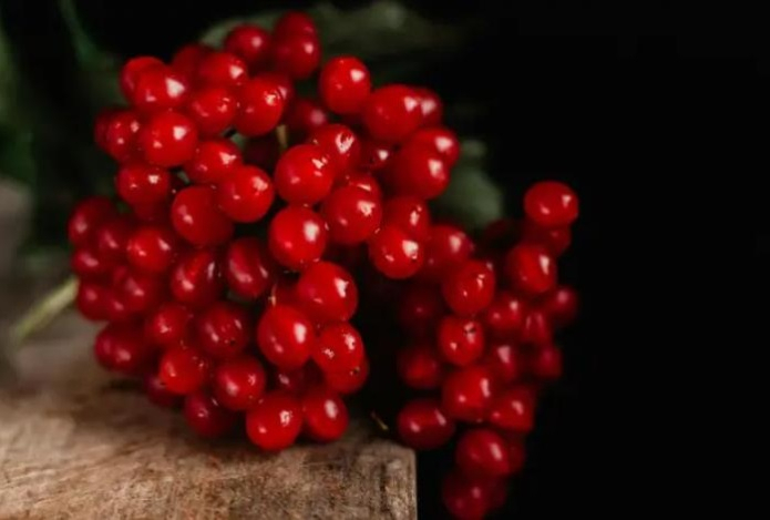 Какая польза калины для здоровья