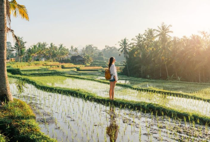 Путешественник назвал три главных разочарования на острове Бали