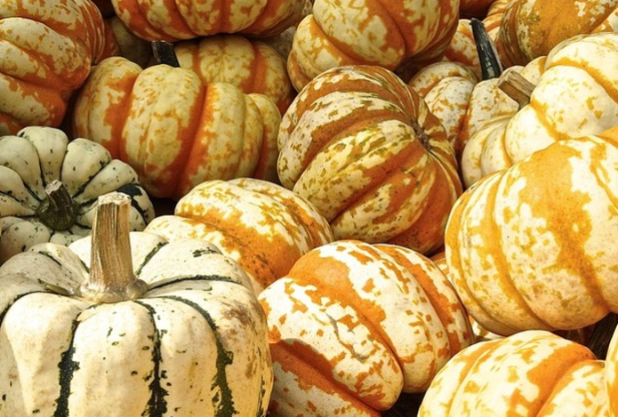 Перечислены восемь продуктов для борьбы с осенней хандрой