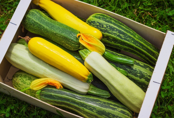 Не выбрасывайте старые кабачки — вот как вернуть им вкус и вид