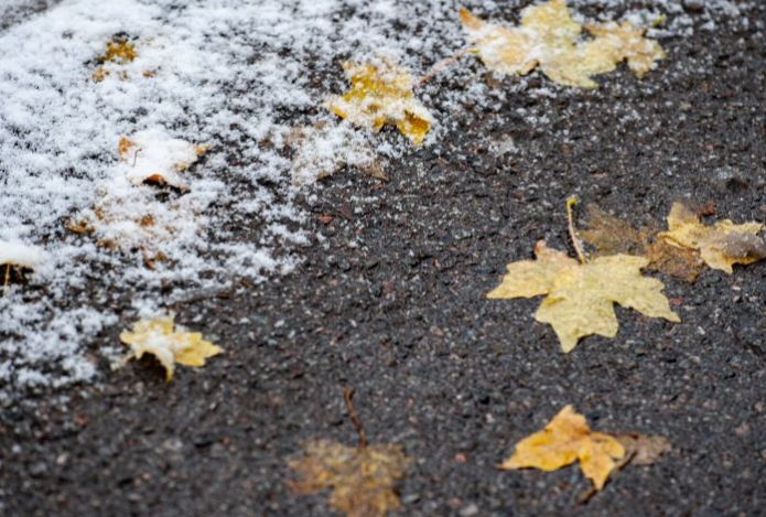 Какими будут осень и зима в Казахстане